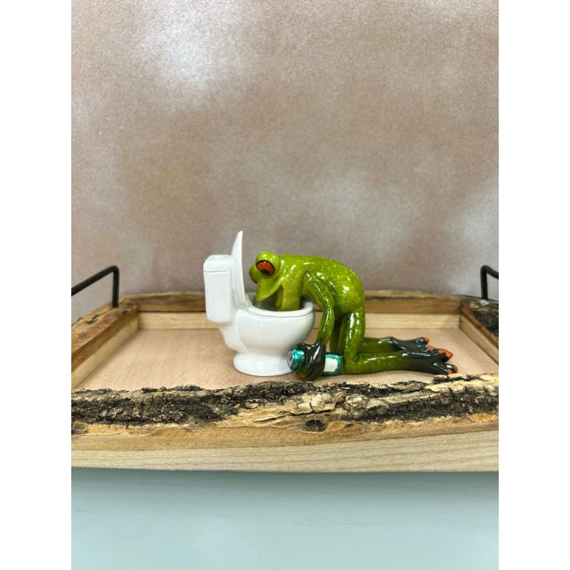 Frosch vor der Toilette – 14 x 8 cm, handbemalt